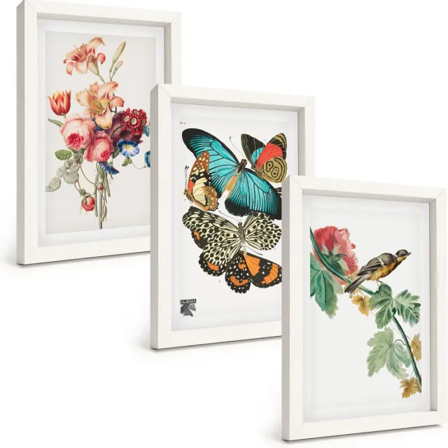 TULUP 3-Delige Schilderij Set - Bloemen, vlinders en vogels in pasteltinten - 20x30 - Muurdecoratie - Decoratieve Schilderijen - Wohnzimmer - Wanddecoratie Witte lijst