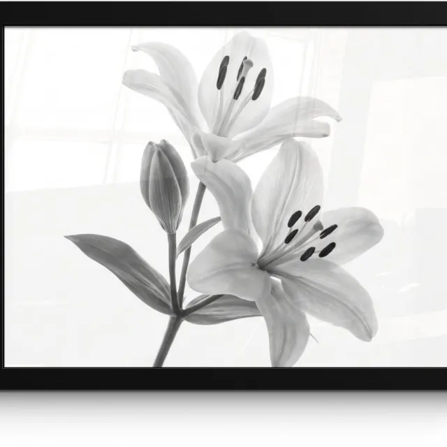 FrameYourWall Poster in lijst - Fotolijst 40x30 cm - Posters - Lelies - Elegant - Zwart - Wit - Posterlijst zwart - Decoratie - Wanddecoratie woonkamer - Muurdecoratie slaapkamer