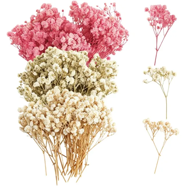 Famanu Set van 100 gedroogde gypsophila bloemen voor knutselen en decoratie