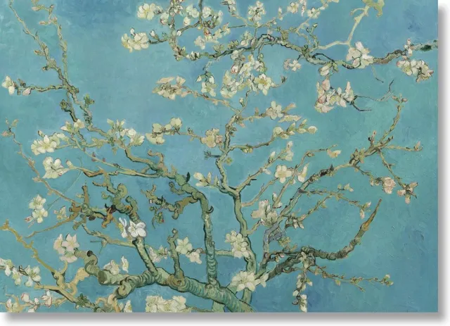 Lanzfeld (museumwebshop.com) Poster, 50x70 cm, Amandelbloesem, Vincent van Gogh turquoise