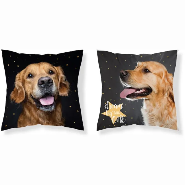 Detexpol Golden Retriever Sierkussensloop Hond kussen 40x40cm ZONDER vulling bruin