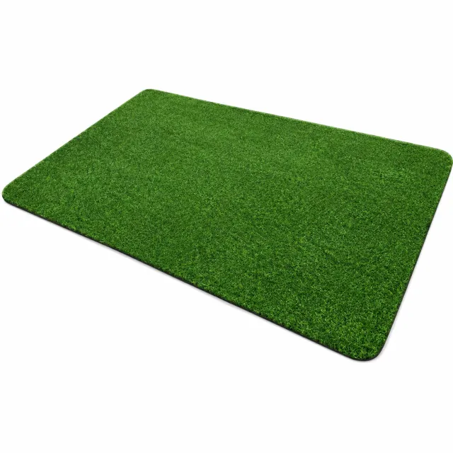 SWGOTA Deurmat van imitatiekokos 60 x 90 cm, effen rechthoekige entreemat groen
