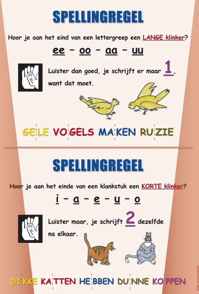 Posterindeklas.nl Gelamineerde Educatieve Poster Spelling Taal - Posterindeklas.nl full colour