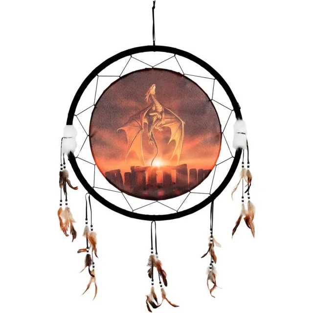 Something Different Dromenvanger Solstice by Anne Stokes Multicolours