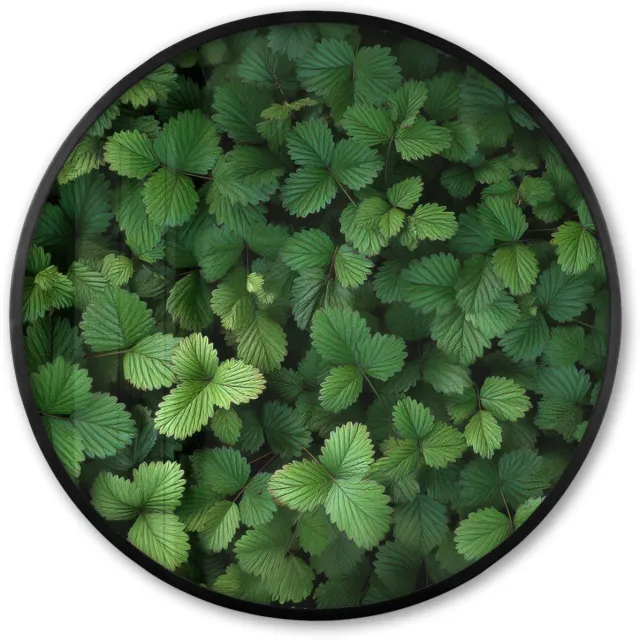 FrameYourWall Poster in lijst Rond - Fotolijst 60x60 cm - Posters - Groen - Bladeren - Kartel - Zonlicht - Ronde posterlijst zwart - Decoratie - Wanddecoratie woonkamer - Muurdecoratie slaapkamer