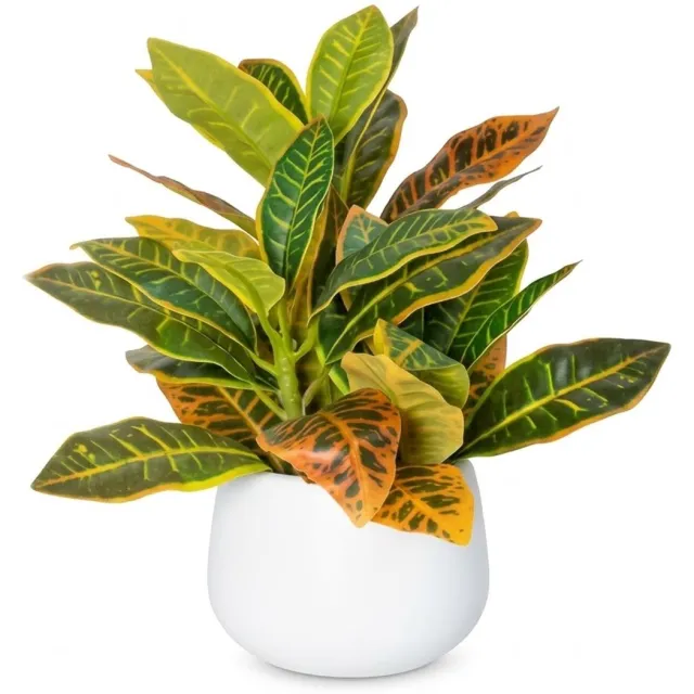 NUVEX Groene kunstplant in witte pot 1 stuk – kunstmatige bonsai met geel oranje bladpatroon en langwerpige bladeren – decoratieve nep plant voor woonkamer kantoor bureau tafel vensterbank en woondecoratie