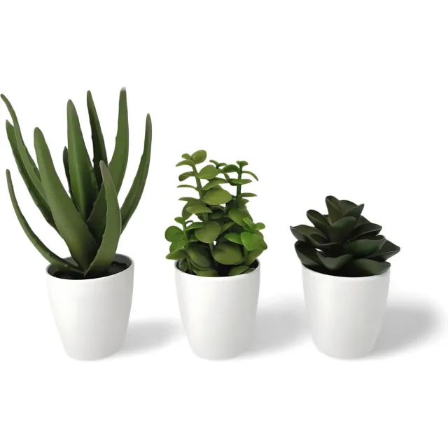 Dulaire Kunst Vetplantjes In Pot Wit 3 st. 23 cm groen