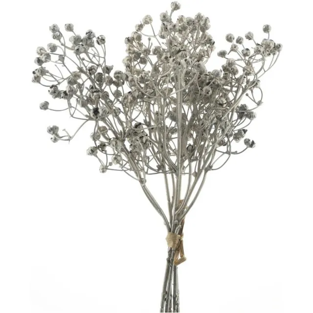 Buitengewoon Boet Buitengewoon de boet - Gypso bundle champagne 34 cm kunsttak bruin