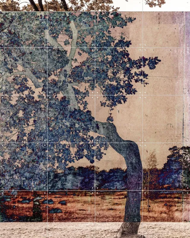IXXI Veil Of Light, Photolovers - 80 x 100 cm - Grote wanddecoratie en posters - Vintage, Studeerkamer, Woonkamer, Natuur Blauw