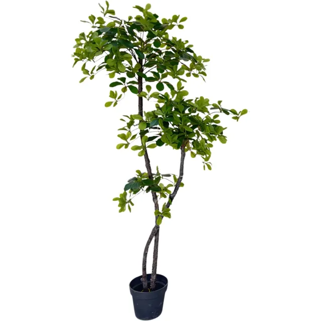 Happiq Kunstmatige Olijfboom 150/180 cm - Voor Thuiskantoor & Woondecor - Kunstzijde Boom met Natuurlijke Houten Stam, UV-Bestendig in Nep Pot - Groen-150cm Green