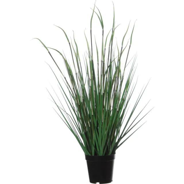 Louis Maes Groene grasplant kunstplant in zwarte kunststof pot 70 cm - Pennisetum - Woondecoratie