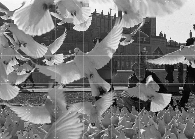 IXXI Doves Mazar, Teun Voeten - 140 x 100 cm - Grote wanddecoratie en posters - Vintage, Fotografie, Woonkamer, Vogels, Stad Zwart en wit / Wit / Monochroom