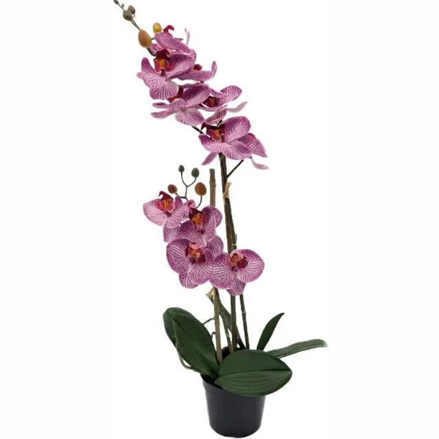 Buitengewoon Boet Phalaenopsis Orchidee in pot x2 50 cm Tiger Cerise kunstplant Buite... roze