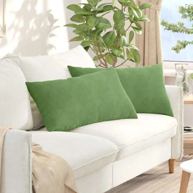vidaXL Sofa Kussens 2 st fluweel Lichtgroen 80 x 40 cm