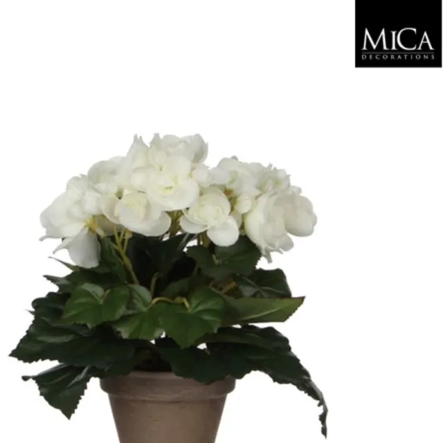 Mica Decorations-e 8 stuks! Begonia wit in pot stan grijs d9 cm h25xd20 cm Mica Decora...