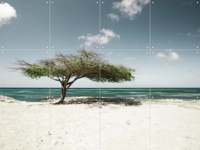 IXXI Tropical Views, Claire Droppert - 80 x 60 cm - Grote wanddecoratie en posters - Surrealisme, Realisme, Minimalisme, Fotografie, Naturalisme Groen / Blauw / Bruin