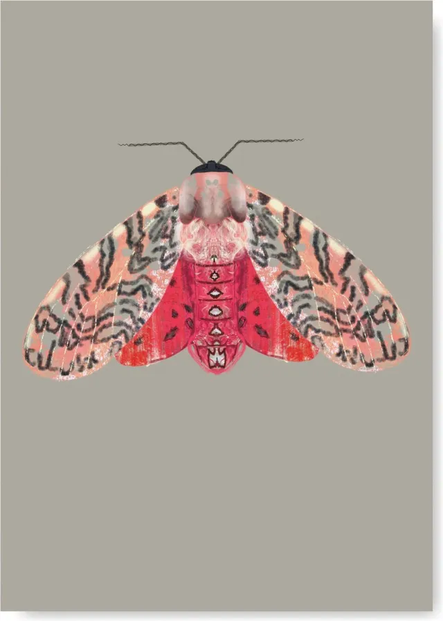 Natuurlijk Angelart Kunst Poster - Dieren - Mot roze rood A3 Formaat - Kunstprint van Natuurlijk Angelart