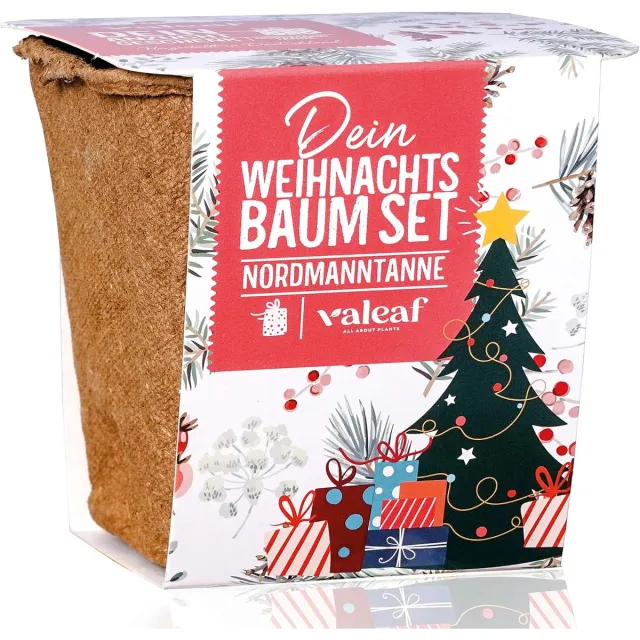 Solacis Adventskalender - Adventskalender 2025- Aftelkalender - Kerstcadeau - Sinterklaas Cadeau - Polly Pocket - Must have voor de laatste maand!