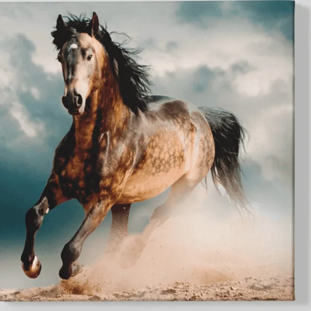 Trendex Global Vierkant Canvas Schilderij - Dieren - Paard - Paarden - 60x60x2 cm Bruin