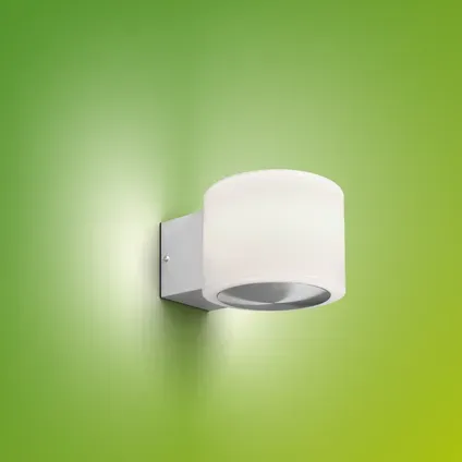 Philips Buitenwandlamp Otis - Roestvrij Staal - Warm Wit - 4,3w Metaal