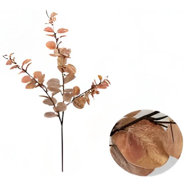 Buitengewoon Boet Money leaf tak bruin 104 cm Buitengewoon de Boet