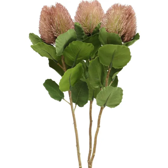 Viana Kunstbanksia Proteaceae Wit-Paars L58cm H6cm 3st