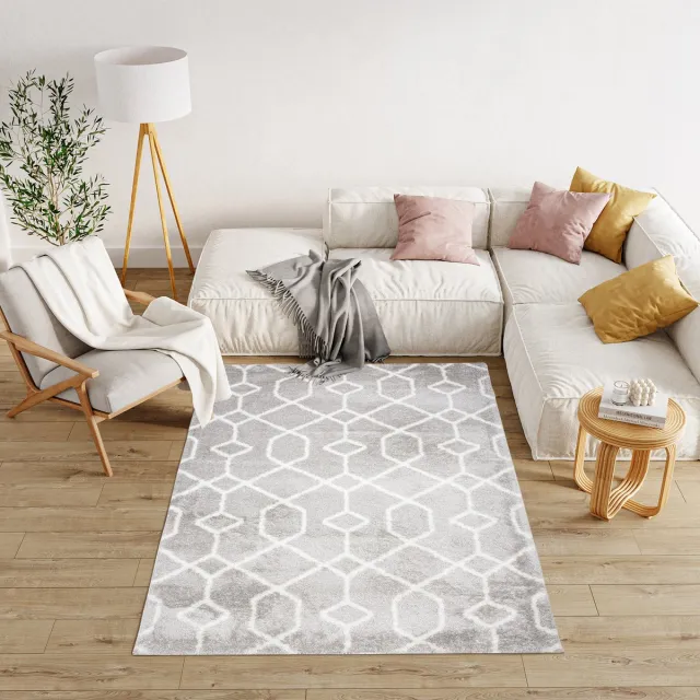 Tapiso Modena Vloerkleed Hoogpolig Fluffy Modern Shaggy Tapijt lichtgrijs wit, foto 4