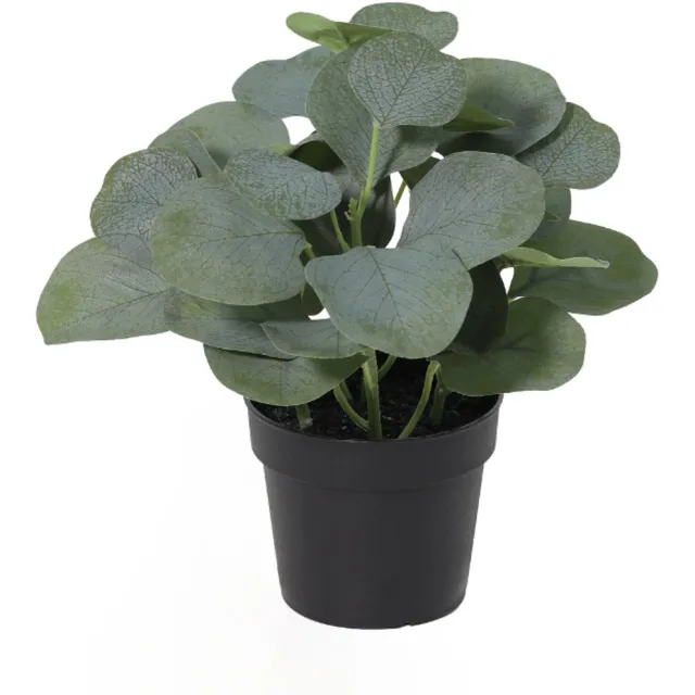 Trendyplants Kunst Eucalyptus - Eucalyptusboom - Kunstplant - Hoogte 21cm - Potmaat Ø9cm Groen