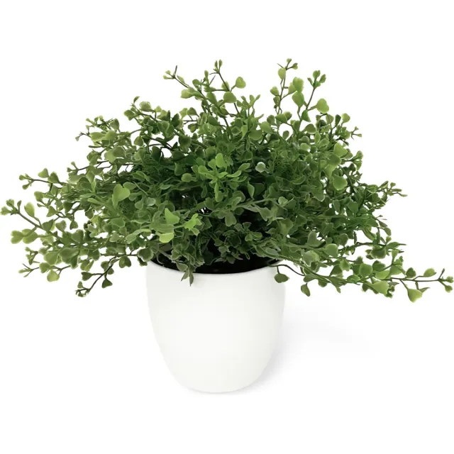 Dulaire Kunstplant In Pot 3 st. - 20 cm groen