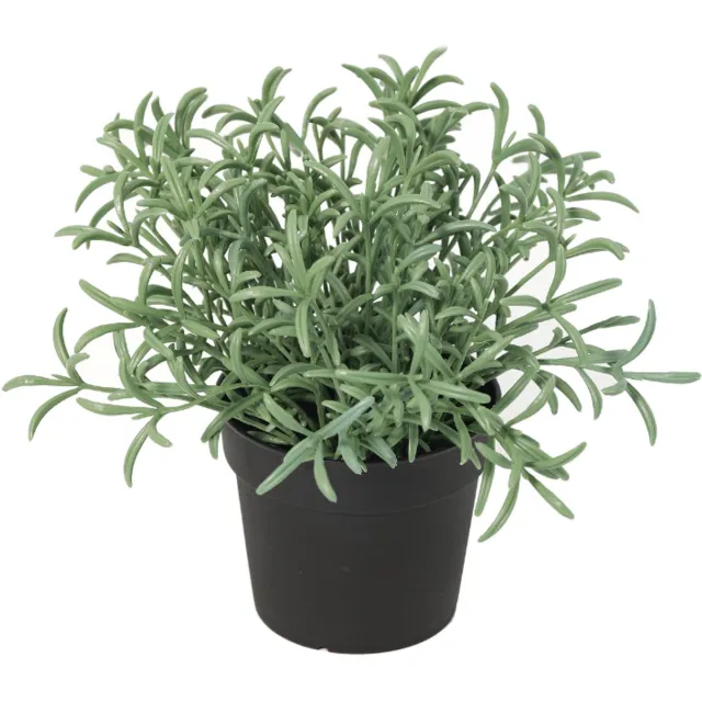 Trendyplants Kunst Helichrysum Italicum - Kruidplant - Kunstplant - Hoogte 18cm - Potmaat Ø9cm Groen