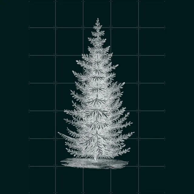 IXXI Forest Tree dark, IXXI - 100 x 140 cm - Grote wanddecoratie en posters - Illustraties, Winter, Natuur, Planten, Botanisch, Kerst Zwart en wit / Donkere tinten