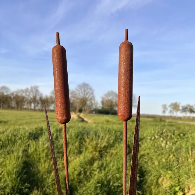 Diron Set van 2 tuinstekers - Lisdodde - tuindecoratie - metaal roest patina - 95 cm lang. 2 stuks