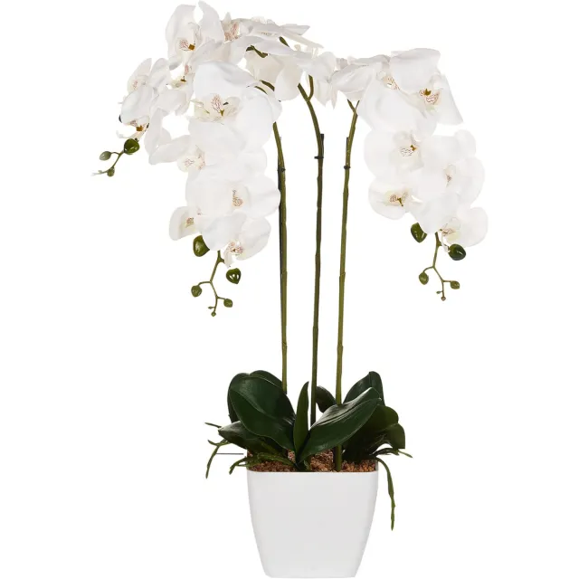 Beliani ORCHID - Kunstplant - Wit/Groen - 59 cm - Synthetisch