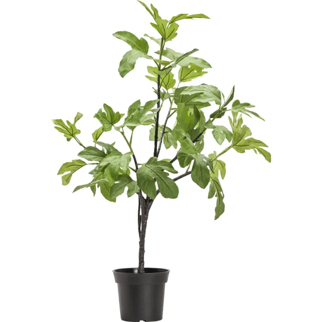 House Doctor kunstplant Fig Groen