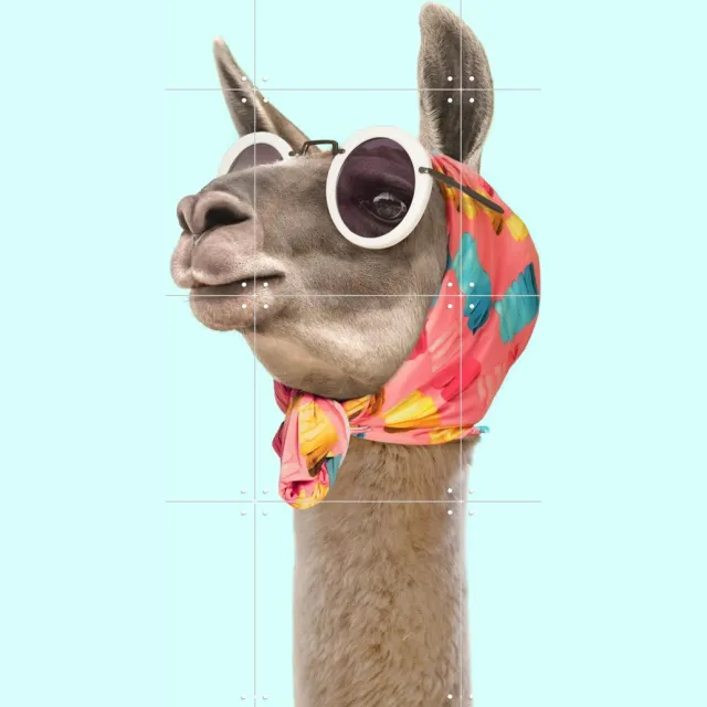 IXXI Fashion Lama, Paul Fuentes - 60 x 80 cm - Grote wanddecoratie en posters - Fotografie, Kleurrijk, Illustraties, Digitale Kunst, Speels, Pop art Roze