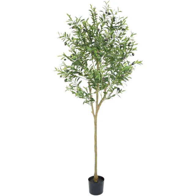 PrettyPlants Kunst Olijfboom 180cm Groen