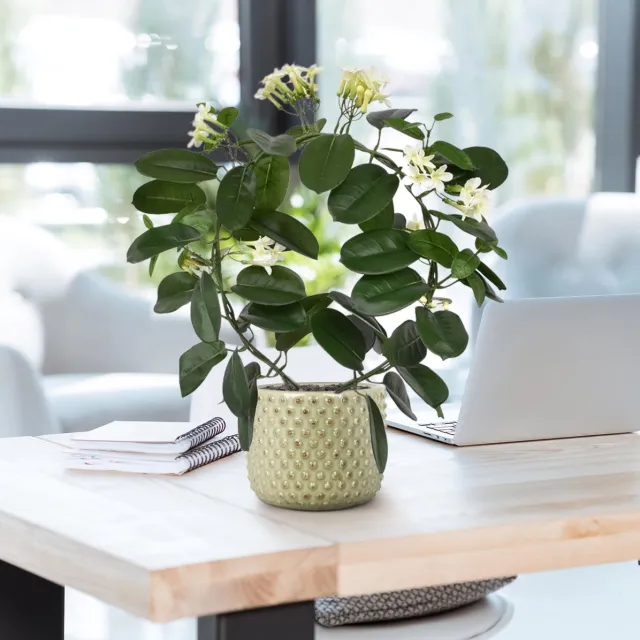 maxifleur Kunstplanten Stephanotis kunstplant 40cm Wit