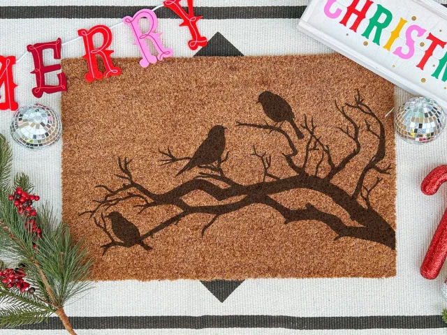 Laser Point Winter Birds | 60x40 cm | Nieuwe huis cadeau | Ingangsmat | Deurmat met stijl | Verhuizing cadeau | Praktisch & trendy | Perfect voor binnenkomst | Cadeau voor nieuwe woning Bruin | Zwart (Gravering 60x40)
