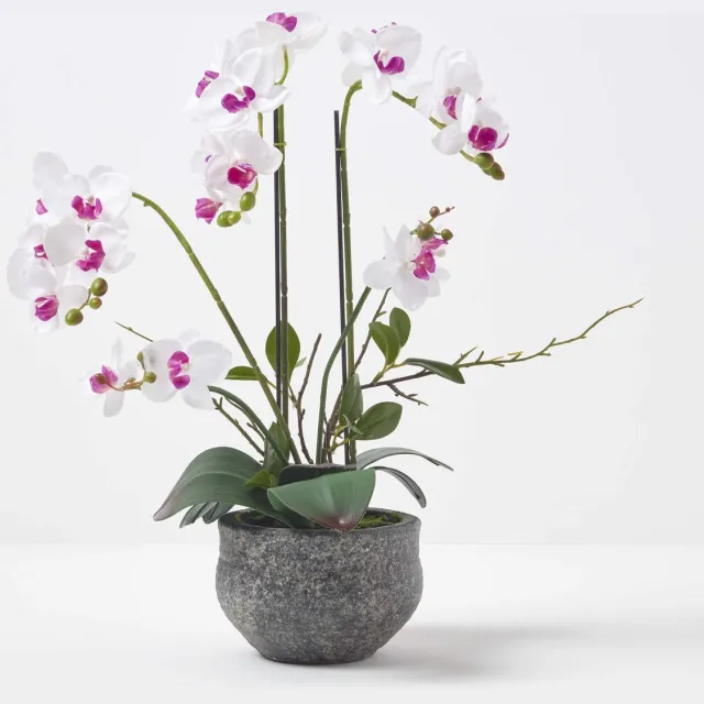 Homescapes Kunstmatige Witte Phalaenopsis Orchidee in Grijze Cement Pot 52 cm
