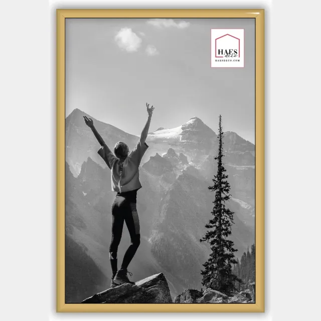 HAES deco Kunststof fotolijst 20x30 goud Easy Frame - EF4G