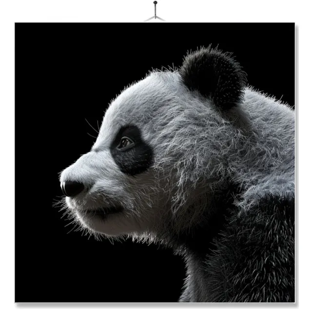 MC Living Tegel Met Opdruk | Geschenk | Dier | Closeup | Pandabeer Ontwerp 2