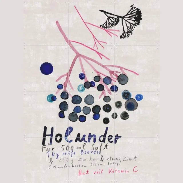 IXXI Holunder, Signorinah - 60 x 80 cm - Grote wanddecoratie en posters - Illustraties, Speels, Aquarel, Woonkamer, Eetkamer, Keuken, Botanisch Blauw / Lichte tinten