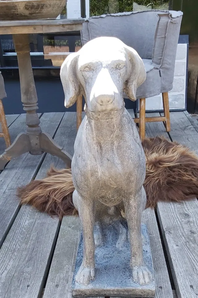 Altijd Iets Moois Il cupido| betonnen hond| Weimaraner hond| betonnen beeld|vorstvrij beeld hond grijs beton