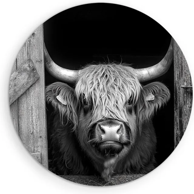 Saammp Forex Muurcirkel - Schotse Hooglander Koe Vanuit een schuur - Landschap - Dieren - Natuur - Ø 90 - Wandcirkel - Wanddecoratie Cirkel - muurdecoratie Woonkamer - Slaapkamer decoratie - Rond Schilderij
