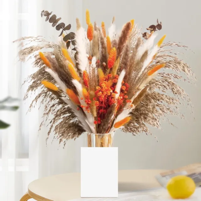 Famanu Natuurlijke gedroogde pampasbloemen - Creëer een rustieke sfeer - Perfect voor boho decoratie - Onbekende kleur - 61 stuks