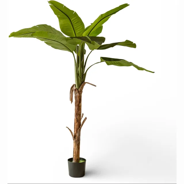 Indore Home Indore Silva Kunstplant Banaan 170 cm – Grote Tropische Kamerplant – Eyecatcher – Onderhoudsvrij Groen