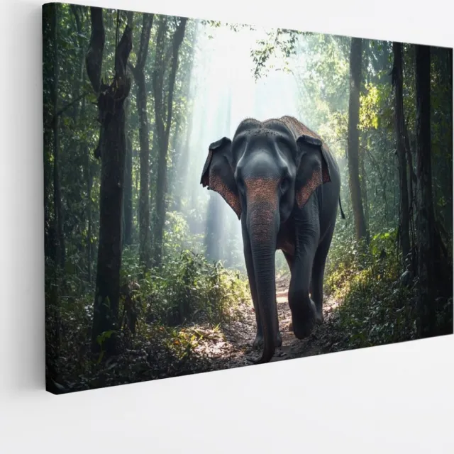 Saammp Canvas Schilderij - Olifant in bos - Dieren - 40x30 - Foto op canvas - Wanddecoratie - muurdecoratie Woonkamer - Slaapkamer decoratie - Canvas Print Multicolor
