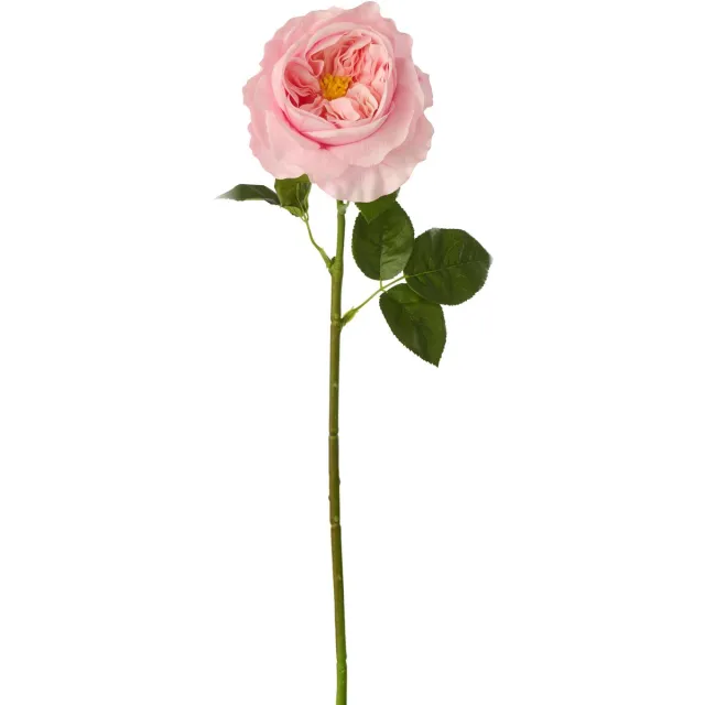 J-Line roos Echt Gevoel - kunststof - roze - 4 stuks