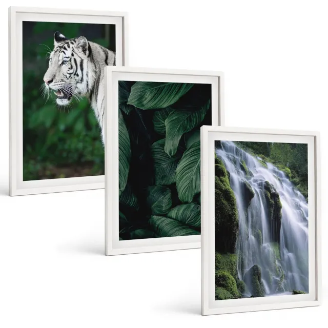 TULUP 3-Delige Schilderij Set - Tijgerwitte bladeren en een waterval in een natuurlijke omgeving - 40x60 - Wanddecoratie - Woonkamer Decoratie - Moderne Wanddecoratie Witte lijst