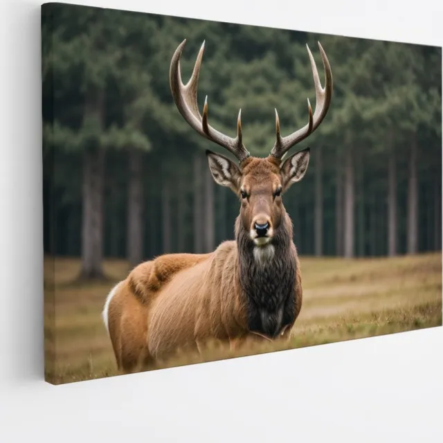 Saammp Canvas Schilderij - hert in de wei - Natuur - Dieren - 60x40 - Foto op canvas - Wanddecoratie - Muurdecoratie Woonkamer - Slaapkamer decoratie - Canvas Print Multicolor